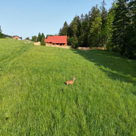 Okno Na Polanica-Zdroj