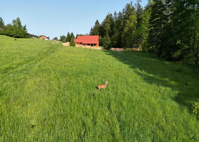 Okno Na Polanica-Zdrój