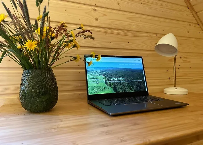 Okno Na Chalet Bad Altheide